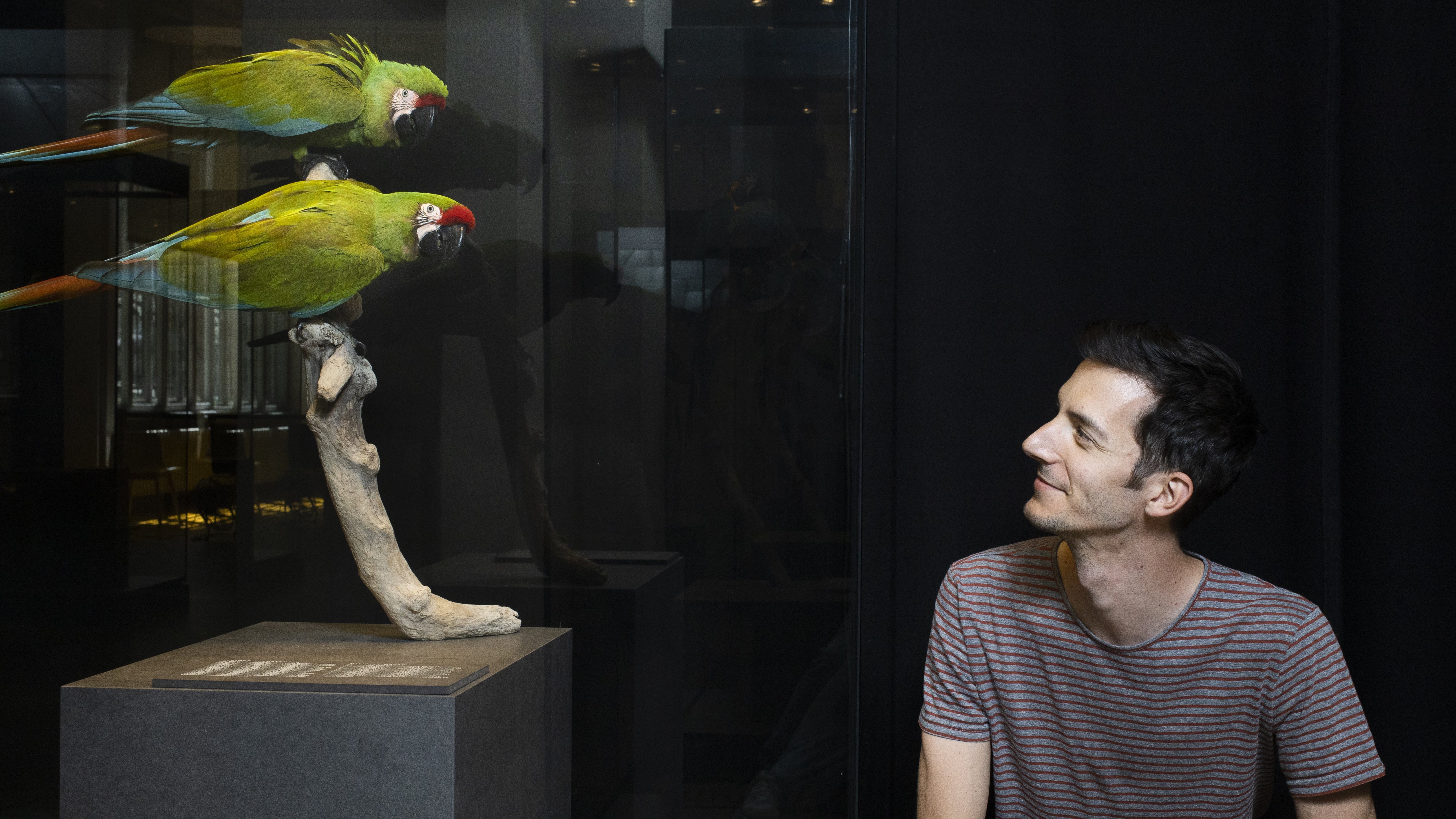 Bruno Delepelaire (on the right) next to two green parrots (on the left).