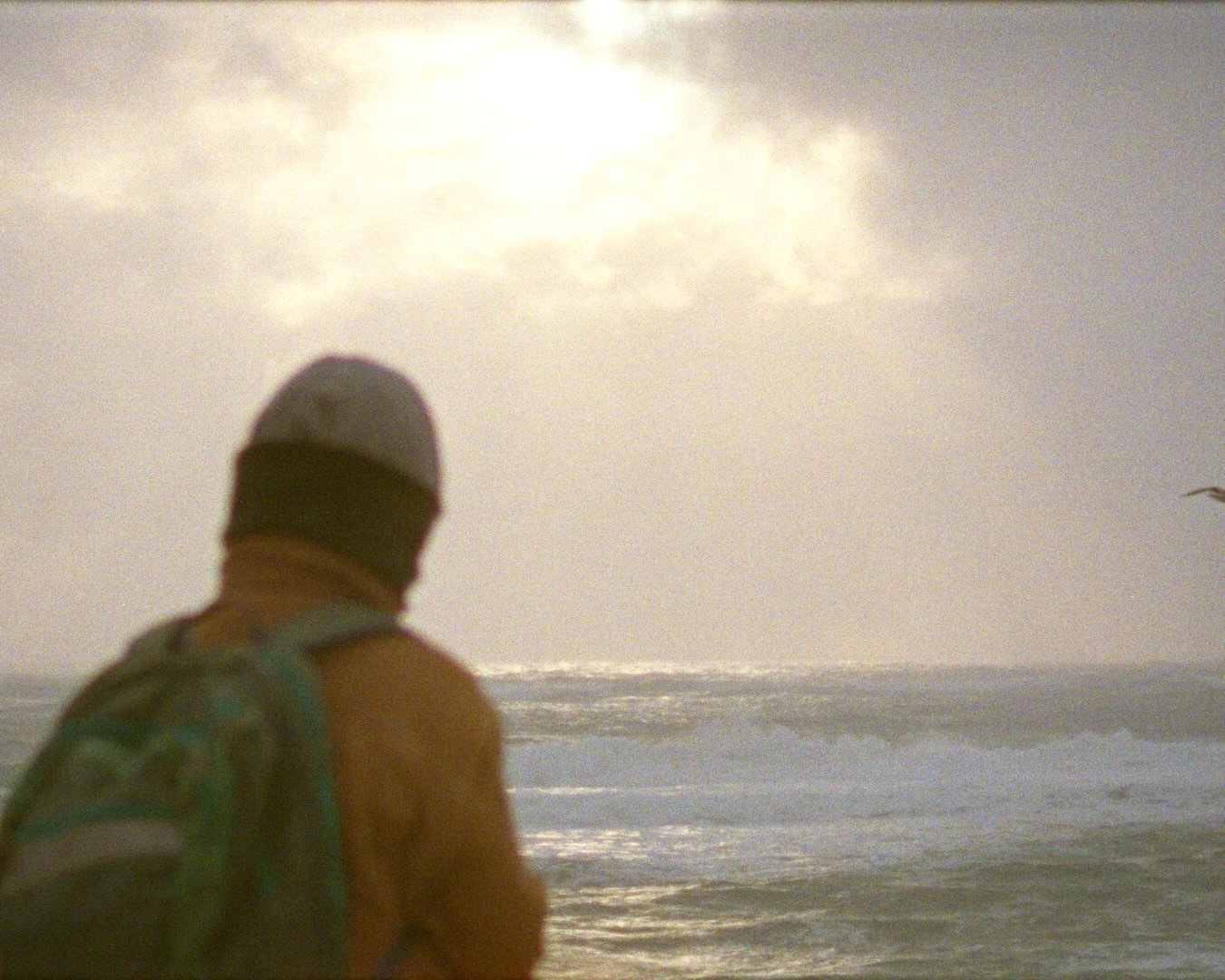 Ein Mensch steht am Ufer des Meeres und schaut in die Ferne. Die Person trägt eine warme Jacke, einen Rucksack und eine Mütze. Die Szene ist in weiches, diffuses Licht getaucht, das durch die Wolken am Himmel fällt. Am Horizont fliegt ein einzelner Vogel über das raue, wellige Meer.