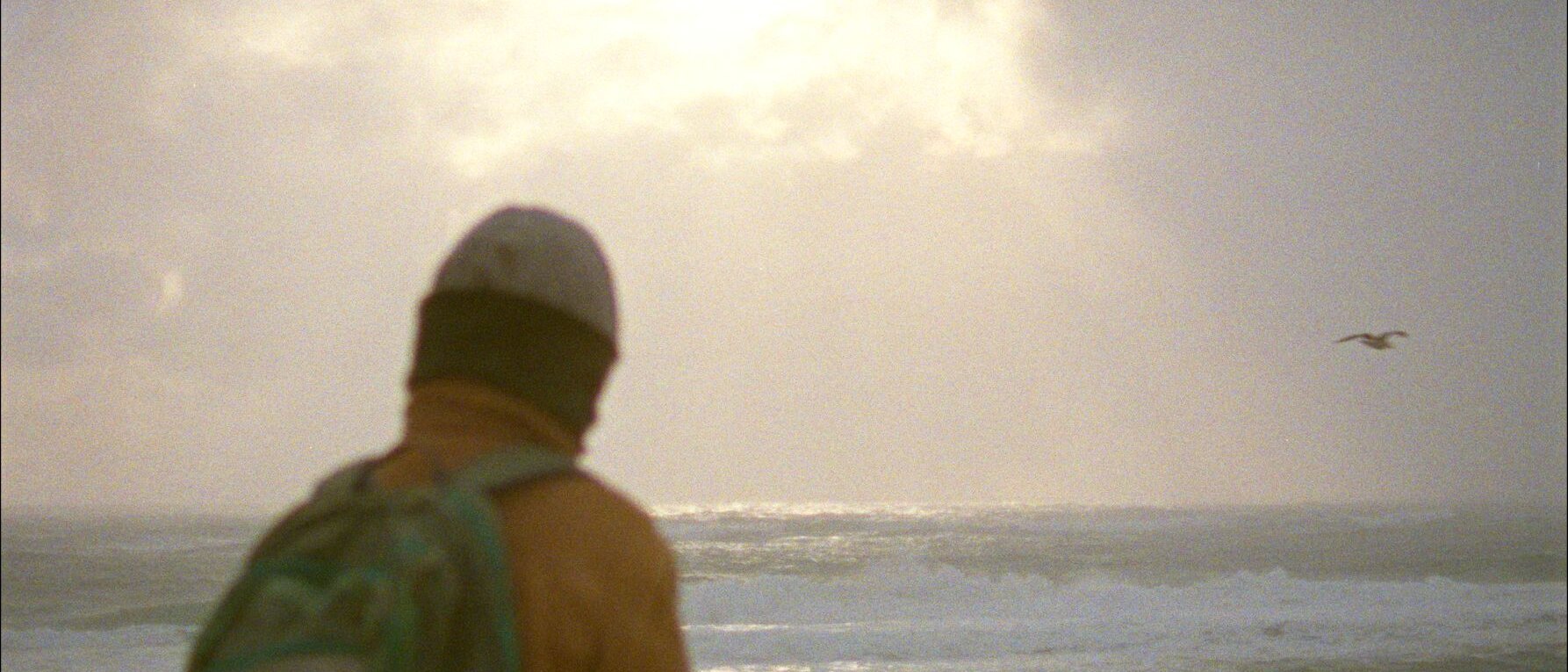 Ein Mensch steht am Ufer des Meeres und schaut in die Ferne. Die Person trägt eine warme Jacke, einen Rucksack und eine Mütze. Die Szene ist in weiches, diffuses Licht getaucht, das durch die Wolken am Himmel fällt. Am Horizont fliegt ein einzelner Vogel über das raue, wellige Meer.