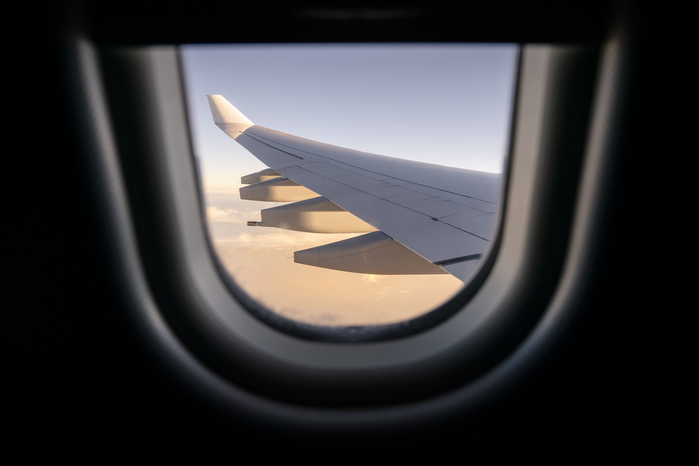 View of the wing from the aircraft